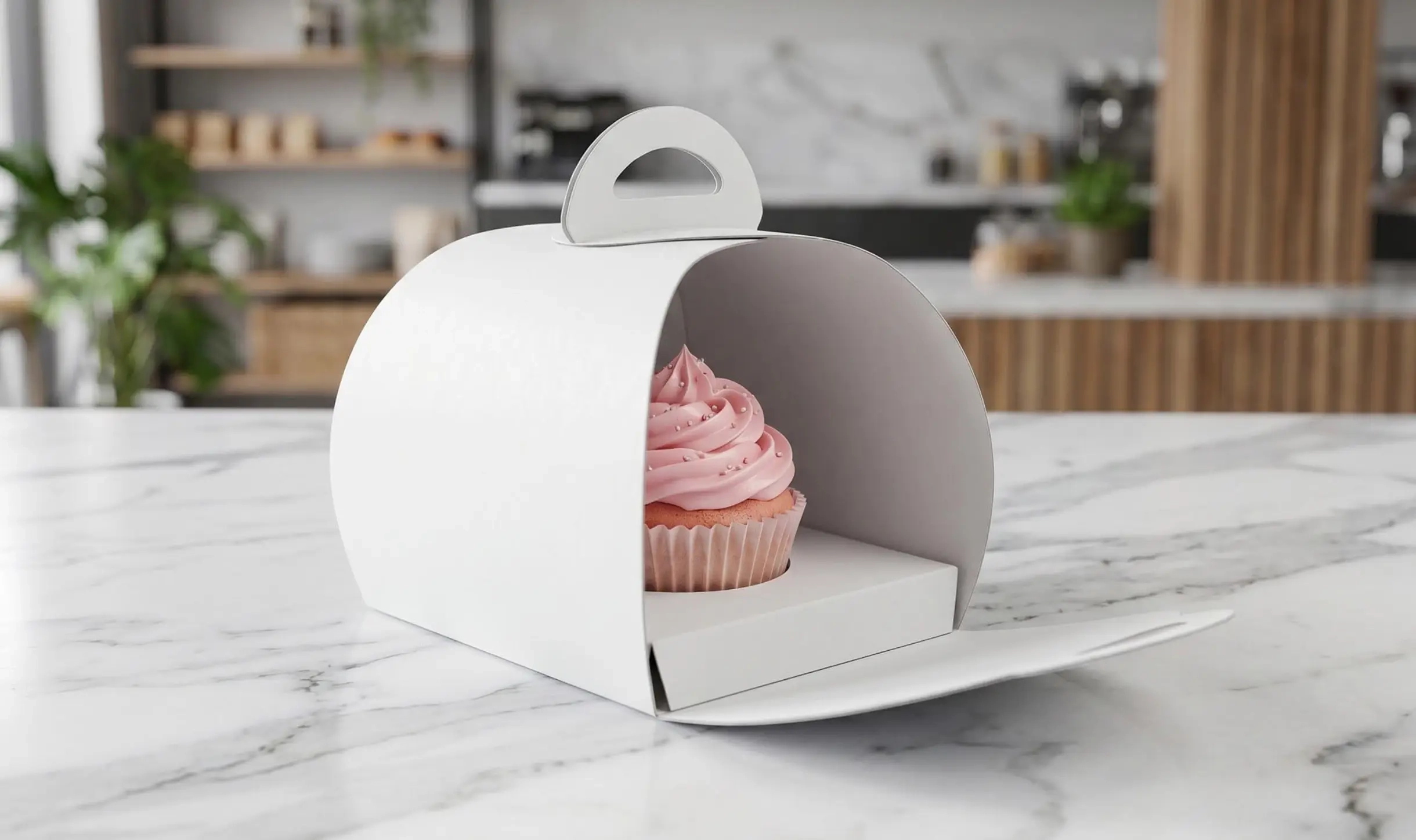 special_carry_box_final_01